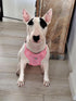Arnes Doble Agarre Rosa